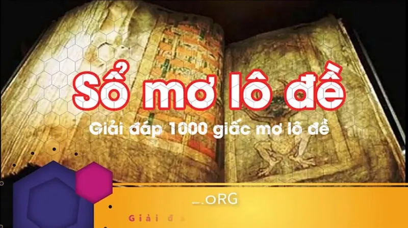 so mo lo de 4